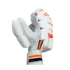 JMD Super Test Cricket Batting Gloves