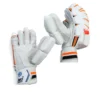 JMD Super Test Cricket Batting Gloves