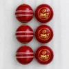 JMD Red Leather Cricket Ball pack of 6 ball